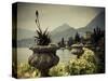 Lombardy, Lakes Region, Lake Como, Varenna, Villa Monastero, Gardens and Lakefront, Italy-Walter Bibikow-Stretched Canvas