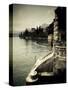 Lombardy, Lakes Region, Lake Como, Varenna, Villa Monastero, Gardens and Lakefront, Italy-Walter Bibikow-Stretched Canvas