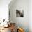 Lombardy VII-Alan Blaustein-Mounted Photographic Print displayed on a wall