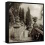 Lombardy VII-Alan Blaustein-Framed Stretched Canvas