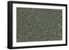 London, Aerial Image-Getmapping Plc-Framed Photographic Print