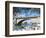 London Bridge, Lake Havasu City, Arizona, United States of America, North America-Robert Harding Productions-Framed Photographic Print