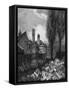 London Cotton Garden-JT Smith-Framed Stretched Canvas