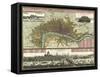 London District-Vintage Apple Collection-Framed Stretched Canvas