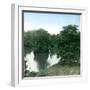 London (England), Buckingham Palace, View of the Gardens-Leon, Levy et Fils-Framed Premium Photographic Print