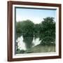 London (England), Buckingham Palace, View of the Gardens-Leon, Levy et Fils-Framed Photographic Print