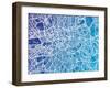 London England Street Map-Michael Tompsett-Framed Art Print