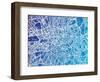 London England Street Map-Michael Tompsett-Framed Art Print