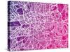 London England Street Map-Michael Tompsett-Stretched Canvas