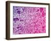 London England Street Map-Michael Tompsett-Framed Art Print