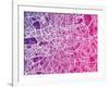 London England Street Map-Michael Tompsett-Framed Art Print