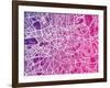 London England Street Map-Michael Tompsett-Framed Art Print