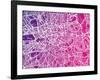 London England Street Map-Michael Tompsett-Framed Art Print