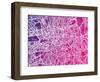 London England Street Map-Michael Tompsett-Framed Art Print