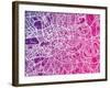 London England Street Map-Michael Tompsett-Framed Art Print