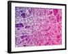 London England Street Map-Michael Tompsett-Framed Art Print