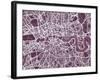 London England Street Map-Michael Tompsett-Framed Art Print