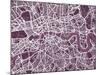 London England Street Map-Michael Tompsett-Mounted Art Print