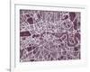 London England Street Map-Michael Tompsett-Framed Art Print