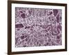 London England Street Map-Michael Tompsett-Framed Art Print