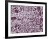 London England Street Map-Michael Tompsett-Framed Art Print