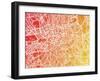 London England Street Map-Michael Tompsett-Framed Art Print