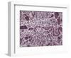 London England Street Map-Michael Tompsett-Framed Art Print