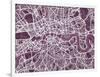 London England Street Map-Michael Tompsett-Framed Art Print