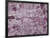 London England Street Map-Michael Tompsett-Framed Art Print