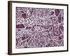 London England Street Map-Michael Tompsett-Framed Art Print