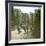 London (England), the Tower of London, the Bloody Tower-Leon, Levy et Fils-Framed Photographic Print