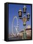 London Eye and County Hall Beside the River Thames, London, England, United Kingdom-David Hughes-Framed Stretched Canvas