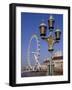 London Eye and County Hall Beside the River Thames, London, England, United Kingdom-David Hughes-Framed Photographic Print