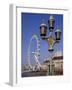 London Eye and County Hall Beside the River Thames, London, England, United Kingdom-David Hughes-Framed Photographic Print