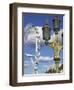 London Eye, London, England, United Kingdom, Europe-Jeremy Lightfoot-Framed Photographic Print