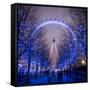 London Eye (Millennium Wheel), South Bank, London, England-Jon Arnold-Framed Stretched Canvas