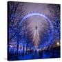 London Eye (Millennium Wheel), South Bank, London, England-Jon Arnold-Stretched Canvas