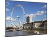 London Eye, River Thames, London, England, United Kingdom, Europe-Jeremy Lightfoot-Mounted Photographic Print