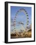 London Eye, River Thames, London, England, United Kingdom, Europe-Jeremy Lightfoot-Framed Photographic Print