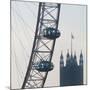 London Eye with Houses of Parliament-Tosh-Mounted Art Print