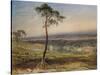 London, from Hampstead, 1834-George Sidney Shepherd-Stretched Canvas