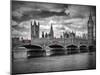 London Houses Of Parliament & Red Busses-Melanie Viola-Mounted Art Print