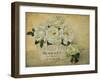 London Roses-Cristin Atria-Framed Art Print