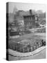 London's East End Residents Cultivating Vegetable Garden in Bombed Ruins-Hans Wild-Stretched Canvas