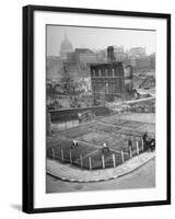 London's East End Residents Cultivating Vegetable Garden in Bombed Ruins-Hans Wild-Framed Photographic Print