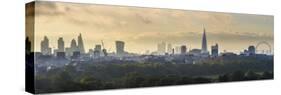 London Skyline with the Shard Above Hyde Park, London, England, Uk-Jon Arnold-Stretched Canvas