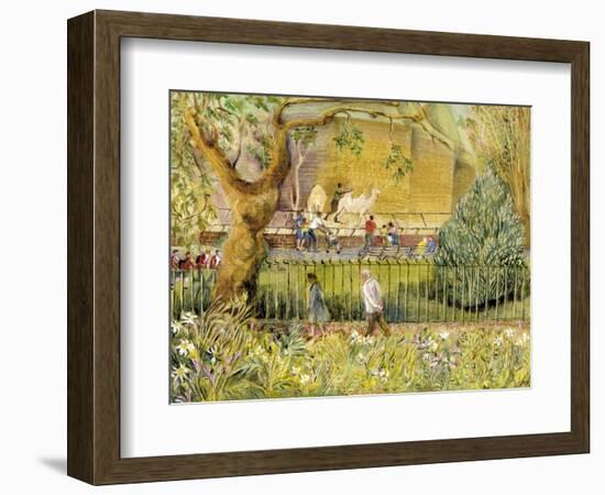 London Zoo, Camels-Mary Kuper-Framed Giclee Print