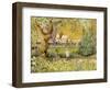 London Zoo, Camels-Mary Kuper-Framed Giclee Print