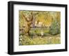 London Zoo, Camels-Mary Kuper-Framed Giclee Print