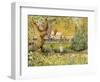 London Zoo, Camels-Mary Kuper-Framed Giclee Print